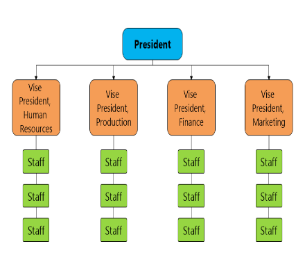 Functional Organization Chart
